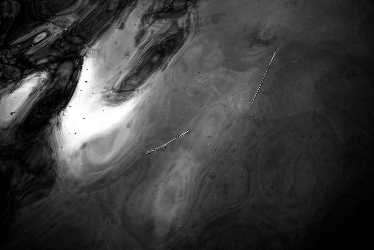 Leica M262 Monochrom